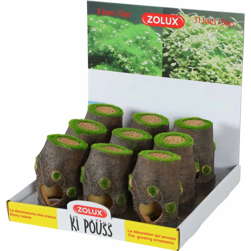 Træstamme med Live plante frø